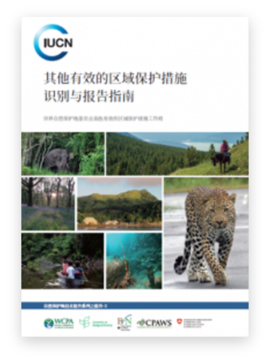 其他有效的区域保护措施识别与报告指南